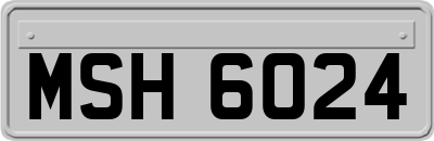MSH6024