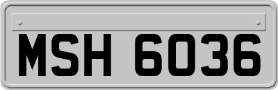 MSH6036