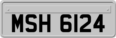 MSH6124