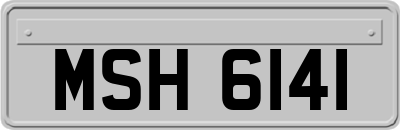 MSH6141