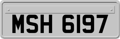 MSH6197