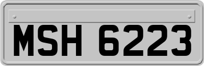 MSH6223