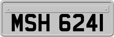 MSH6241