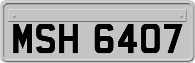 MSH6407