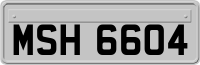 MSH6604