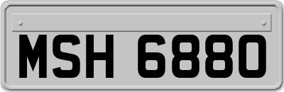 MSH6880