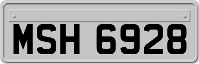 MSH6928