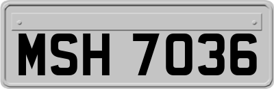 MSH7036