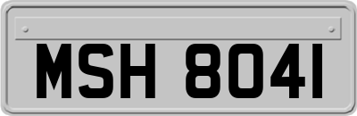 MSH8041