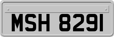 MSH8291