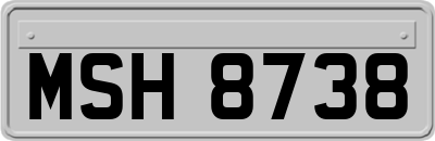 MSH8738