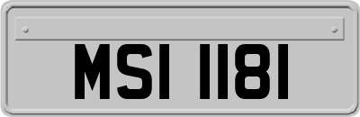 MSI1181