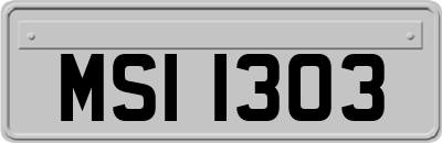 MSI1303