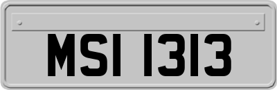 MSI1313