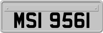 MSI9561