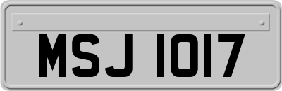 MSJ1017