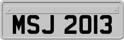 MSJ2013