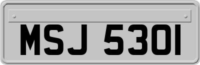 MSJ5301