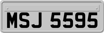 MSJ5595