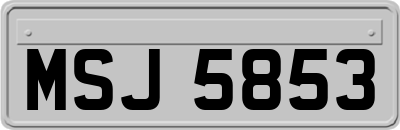 MSJ5853