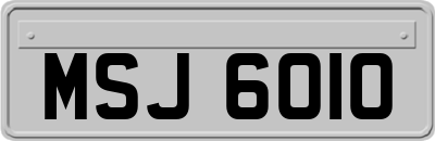 MSJ6010