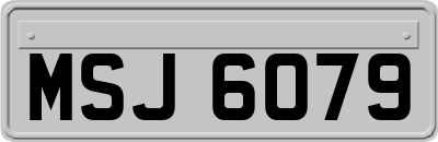 MSJ6079