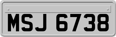 MSJ6738