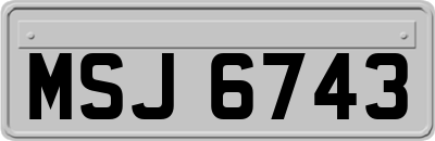 MSJ6743