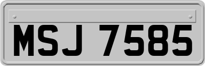 MSJ7585