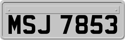 MSJ7853