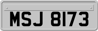 MSJ8173