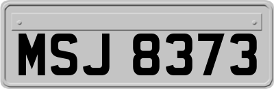 MSJ8373
