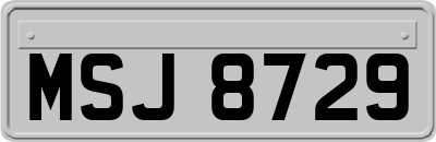 MSJ8729