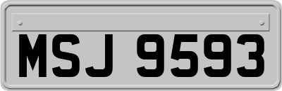 MSJ9593