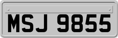 MSJ9855
