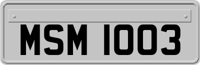 MSM1003