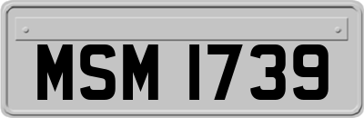 MSM1739