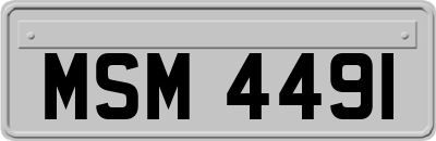 MSM4491