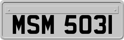 MSM5031