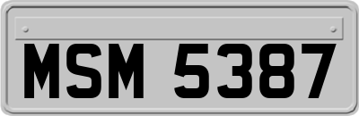 MSM5387
