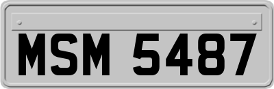 MSM5487