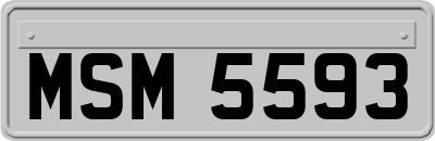 MSM5593