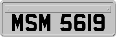 MSM5619