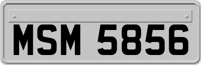 MSM5856