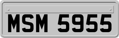 MSM5955