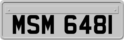 MSM6481