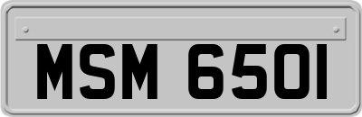 MSM6501