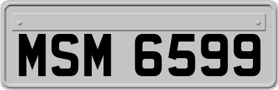 MSM6599