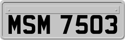 MSM7503