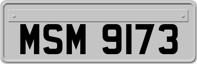 MSM9173